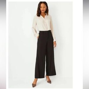 Ann Taylor High waist wide leg winter Capri US8